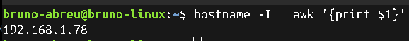 Confirmação do endereço IPv4 local usado como alvo do scan.